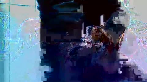 Snapshot of bruno5629 chatting on 11-27-25, 01:13 bruno5629 online show from 11-27-25, 01:13