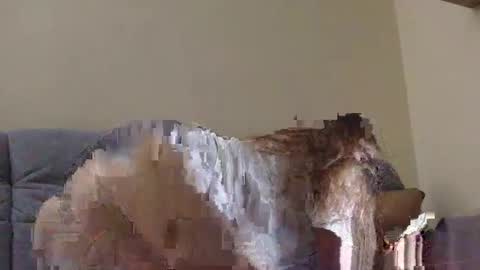 brutecia online show from 09-16-25, 06:42