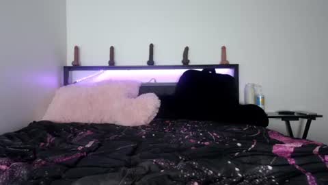 Snapshot of bubble_girl_lo chatting on 06-29-26, 05:57 Queen Lola XXX online show from 06-29-26, 05:57