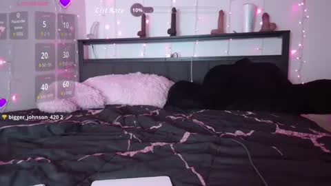 Snapshot of bubble_girl_lo chatting on 07-31-26, 05:29 Queen Lola XXX online show from 07-31-26, 05:29
