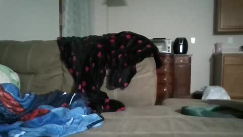 Snapshot of bud42o chatting on 09-09-25, 04:56 Bud42o online show from 09-09-25, 04:56