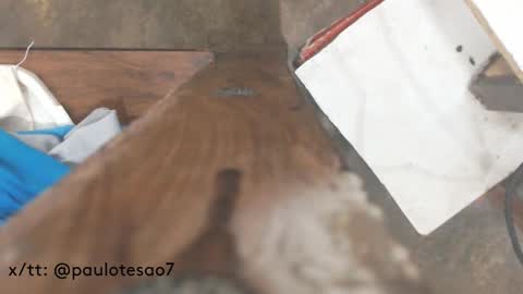 buldgeinboxer online show from 02-17-25, 07:21