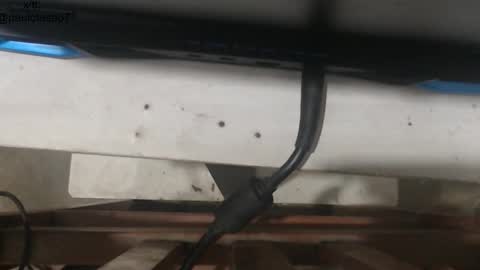 buldgeinboxer online show from 01-18-26, 05:33