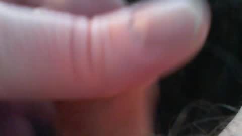 bullemoe online show from 02-15-26, 07:51