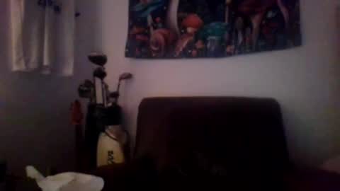 bumlover4567 online show from 12-19-24, 01:28