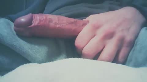 Snapshot of bundy2016 chatting on 12-27-24, 08:24 Dutch cock online show from 12-27-24, 08:24