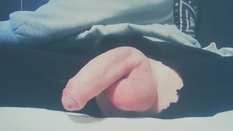 Snapshot of bundy2016 chatting on 02-23-25, 03:40 Dutch cock online show from 02-23-25, 03:40