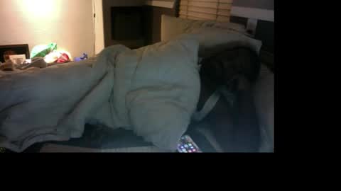 Bungalow Entertainment online show from 12-17-25, 11:16