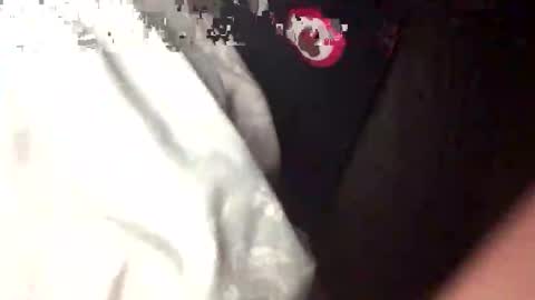 Snapshot of bungle87 chatting on 09-14-25, 02:44 bungle online show from 09-14-25, 02:44