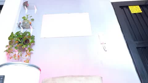     online show from 06-19-26, 07:06