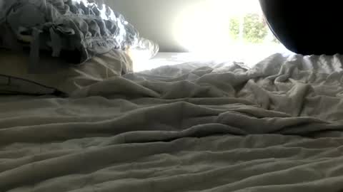 bunny286025 online show from 02-11-25, 05:18