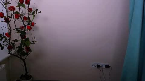 Ariel online show from 10-21-25, 04:13