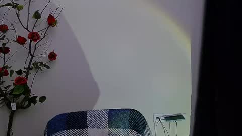 Snapshot of bunnybloom_ chatting on 04-28-26, 08:03 Ariel online show from 04-28-26, 08:03
