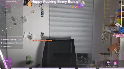 Tokki  bunny  online show from 12-09-24, 10:30