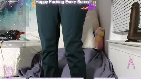 Tokki  bunny  online show from 12-12-24, 02:37