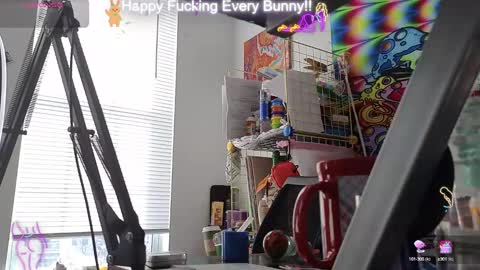 Tokki  bunny  online show from 01-16-25, 07:20