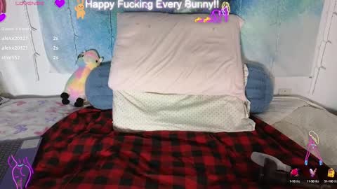 Tokki  bunny  online show from 01-28-25, 02:00