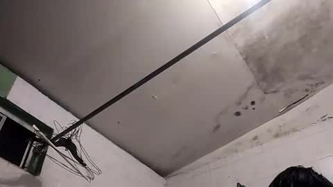 Snapshot of bunnychocolatte151671 chatting on 11-30-25, 05:00 bunnychocolatte69 online show from 11-30-25, 05:00