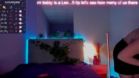 BunnyShows online show from 10-19-25, 05:57