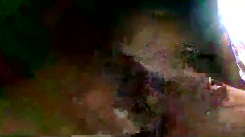 Snapshot of burro3000 chatting on 12-13-24, 04:43 burro3000 online show from 12-13-24, 04:43