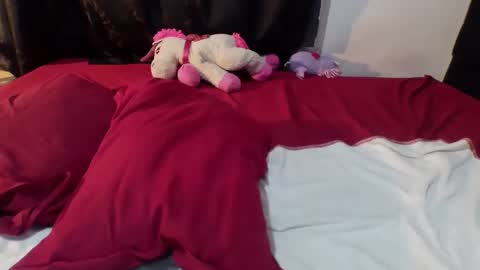 Dylan online show from 02-20-26, 06:37