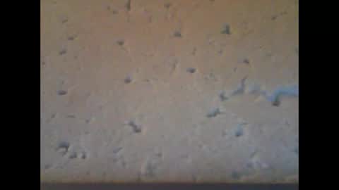 Snapshot of bwc198869 chatting on 05-09-26, 02:17 bwc198869 online show from 05-09-26, 02:17