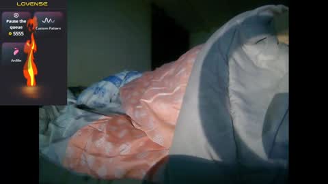 Snapshot of bzxxbzh chatting on 12-17-24, 05:18 bzxxbzh online show from 12-17-24, 05:18