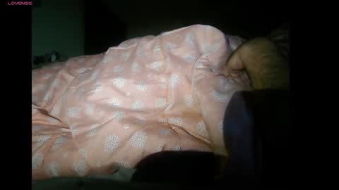 Snapshot of bzxxbzh chatting on 11-04-25, 09:03 bzxxbzh online show from 11-04-25, 09:03