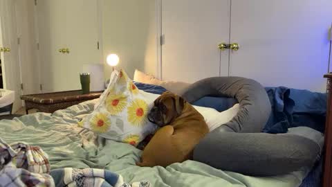 c2cmee online show from 03-09-26, 04:38