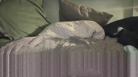 Snapshot of c4tf1sh chatting on 01-14-26, 08:53 1DontR3member online show from 01-14-26, 08:53