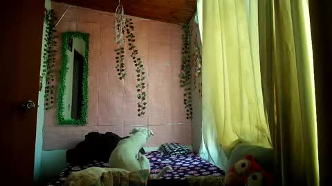 Snapshot of callme_lolas chatting on 03-25-26, 09:54 paula online show from 03-25-26, 09:54