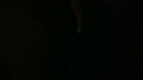 Snapshot of camaleon692021 chatting on 07-10-26, 12:19 Charly online show from 07-10-26, 12:19