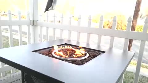 Snapshot of camaro383ci1994 chatting on 12-25-24, 02:23 Chillaxin lets talk online show from 12-25-24, 02:23