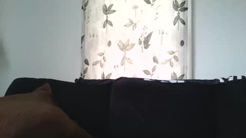 Snapshot of camaro383ci1994 chatting on 01-21-25, 06:45 Chillaxin lets talk online show from 01-21-25, 06:45