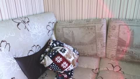 Cameron online show from 01-17-25, 09:17