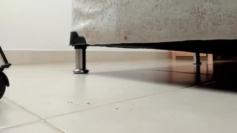 camii  online show from 04-13-26, 11:43