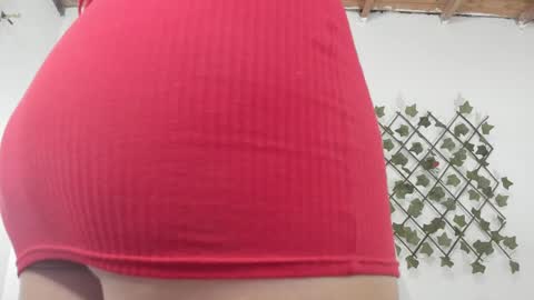 camihotboobs online show from 01-29-25, 07:43