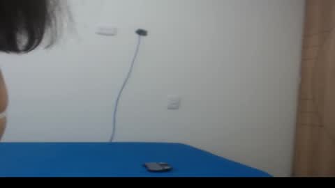 Snapshot of camila_rouswhyth chatting on 11-04-25, 12:04 camila_rouswhyth online show from 11-04-25, 12:04