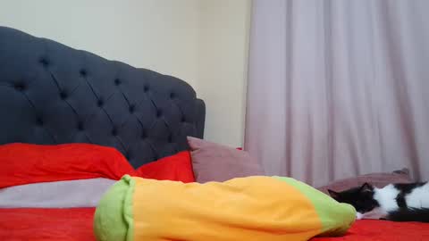 Camila Browm online show from 02-09-25, 09:26