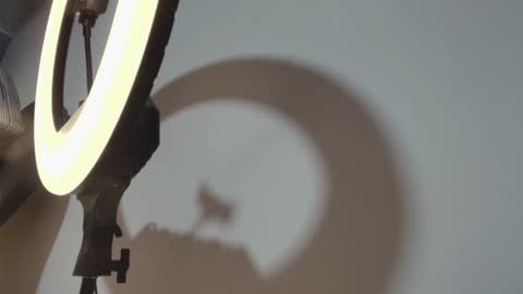 CAMILO  online show from 03-15-26, 01:06