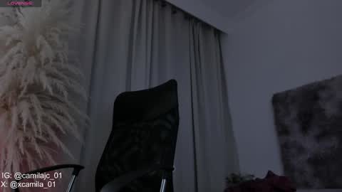 Laura Camila online show from 02-01-25, 11:48