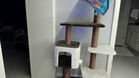 cammyman6900 online show from 03-21-26, 04:17