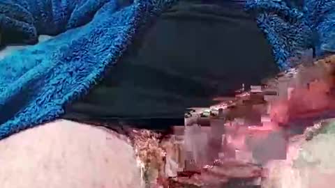 camone554cum online show from 10-04-25, 04:49