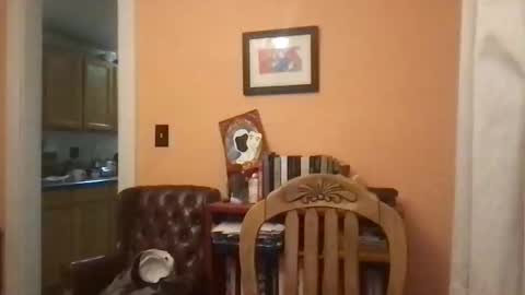 camunity online show from 03-29-26, 03:39