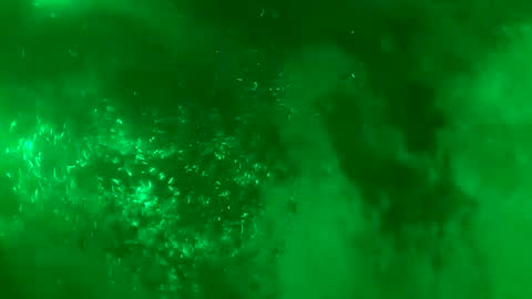 Daddy online show from 01-18-25, 07:28