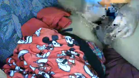 Snapshot of cancer7777 chatting on 03-04-25, 06:15 7777 online show from 03-04-25, 06:15