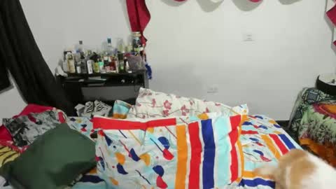 Snapshot of candlexx_ chatting on 02-10-25, 03:35 candlex online show from 02-10-25, 03:35