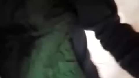 capri34 online show from 09-21-25, 07:48