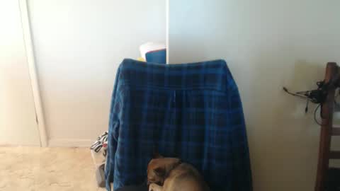 capt5105 online show from 03-05-26, 03:13