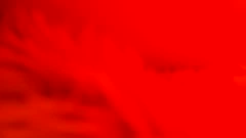 captain_nature online show from 02-26-25, 07:09